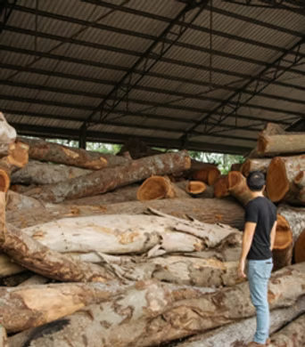 The Semula Asia partner network: A collection of logos from Singapore’s leading sustainability and craft organizations.