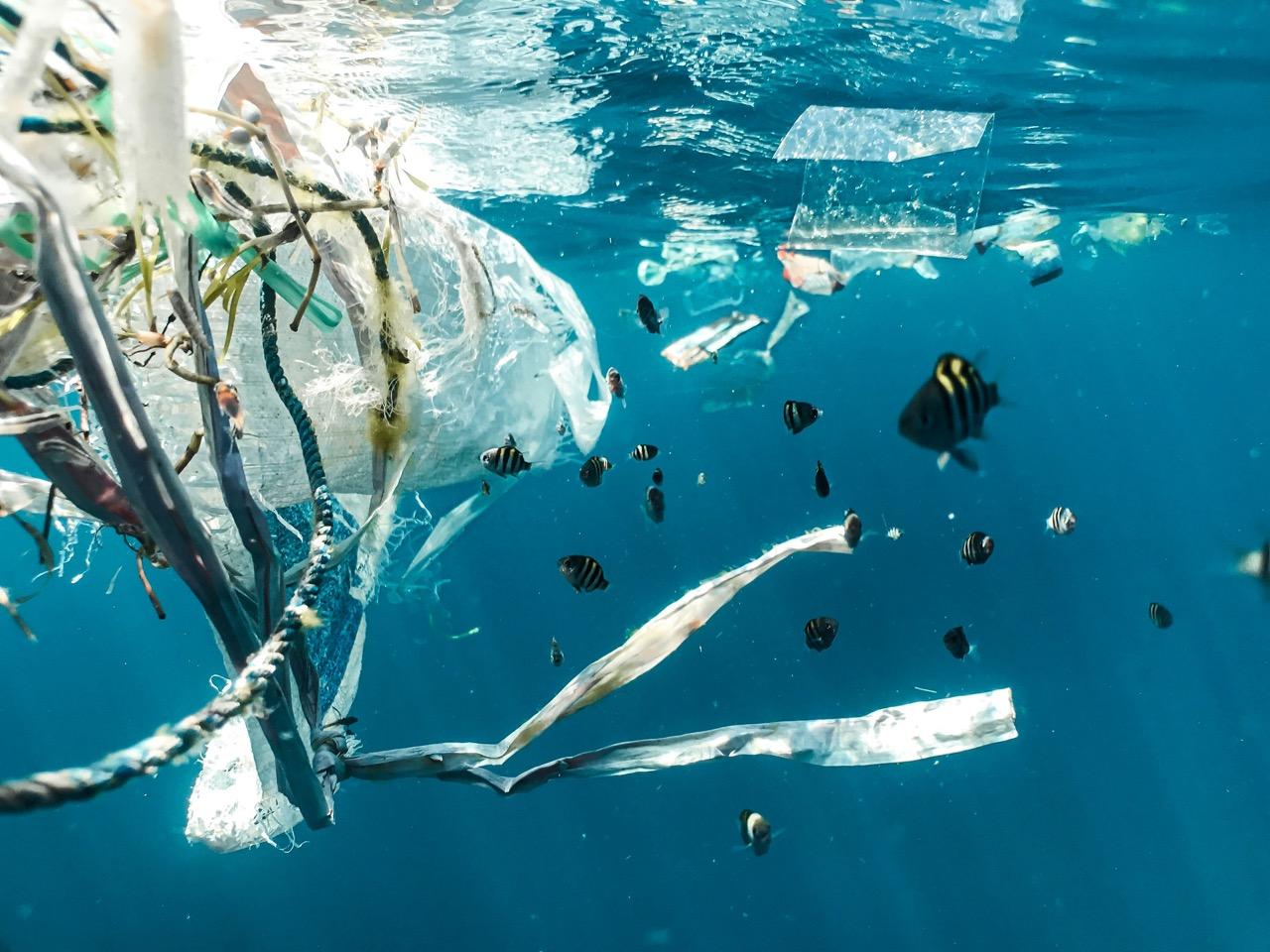 Discarded plastic bottles and fishing nets floating in the ocean, a threat to marine biodiversity and ecosystems.