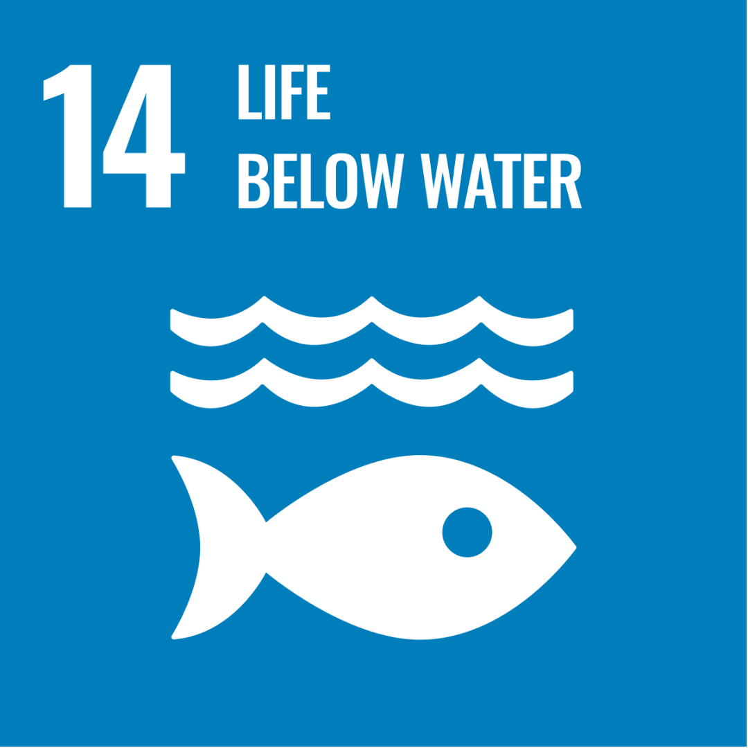 SDG 14 (Life Below Water): "Protecting marine life: Upcycling ocean-bound plastic into durable hardware to meet SDG 14 goals.