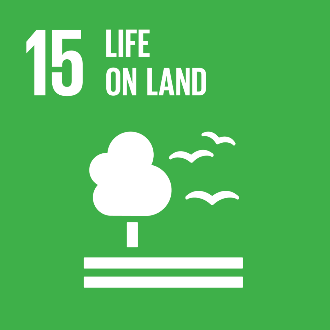 SDG 15 (Life on Land): "Diverting plastic from landfills to protect terrestrial ecosystems, supporting SDG 15 biodiversity.
