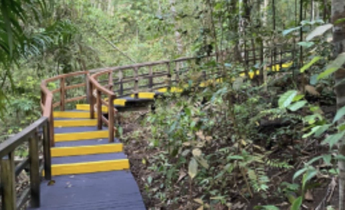 Guided eco-walk on the Chemperai Boardwalk with Semula Asia, overlooking the calm waters of the Upper Seletar Reservoir.