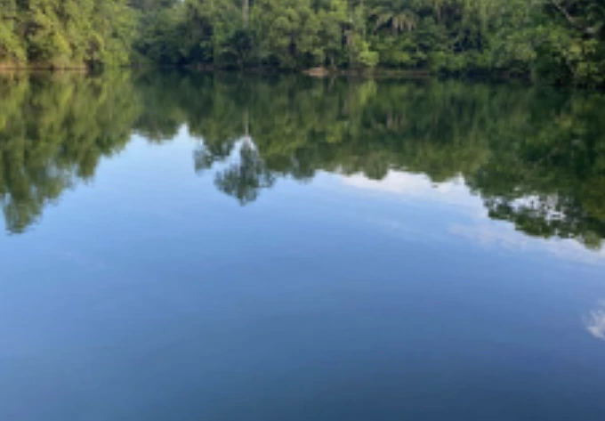 A moment of mindfulness and environmental appreciation during a Semula nature trail in a Singapore park.